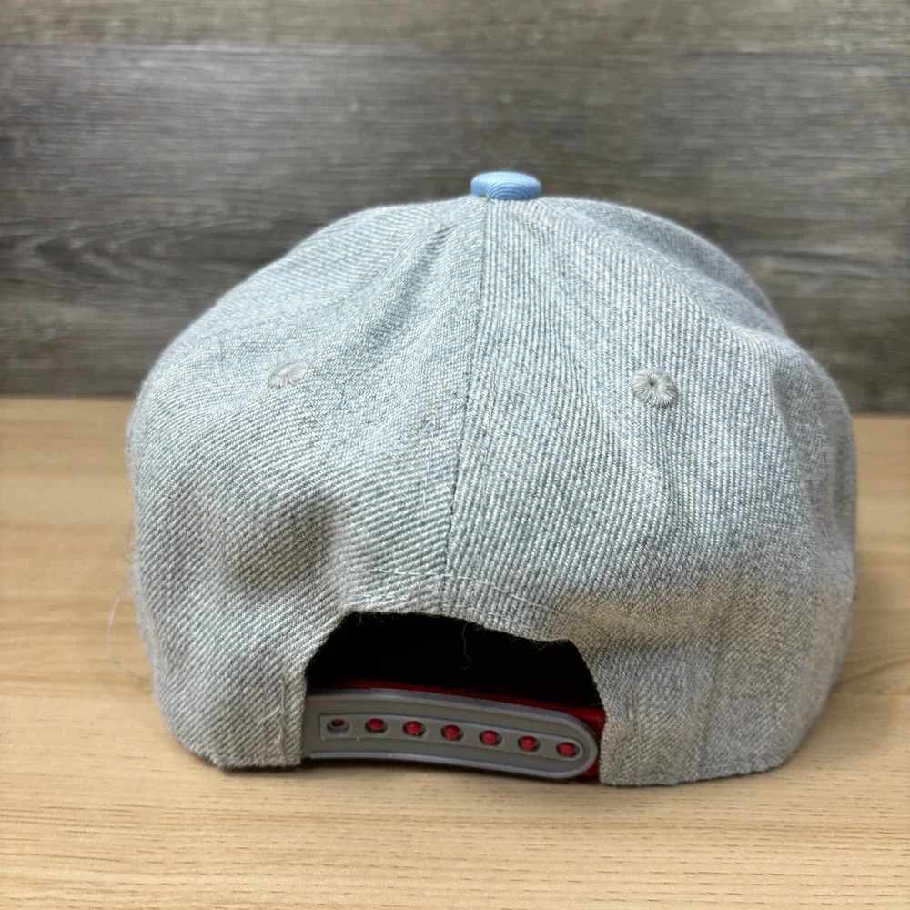 Chicago Bulls Hat Cap Snapback Gray NBA Basketball‎ City Art Promo